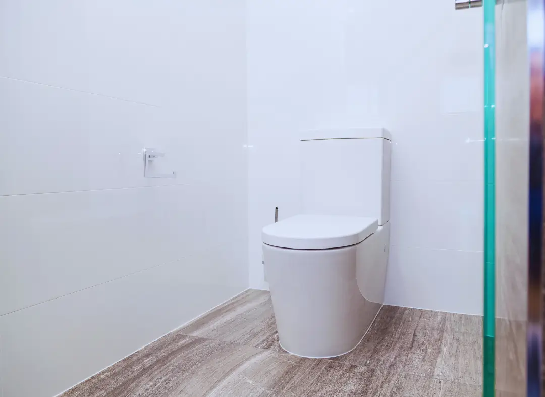 Remplacement de wc Azay-le-Rideau